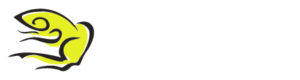 Amphibi Studio Logo